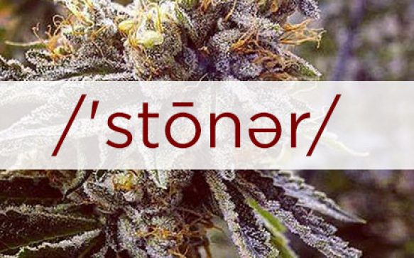 Stoner Madness | /’stōnər/ Slang for a Person Who Consumes Cannabis