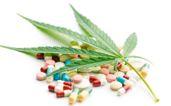 For Your Health | Exploring Cannabis For Pain Relief