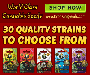 Crop King Seeds