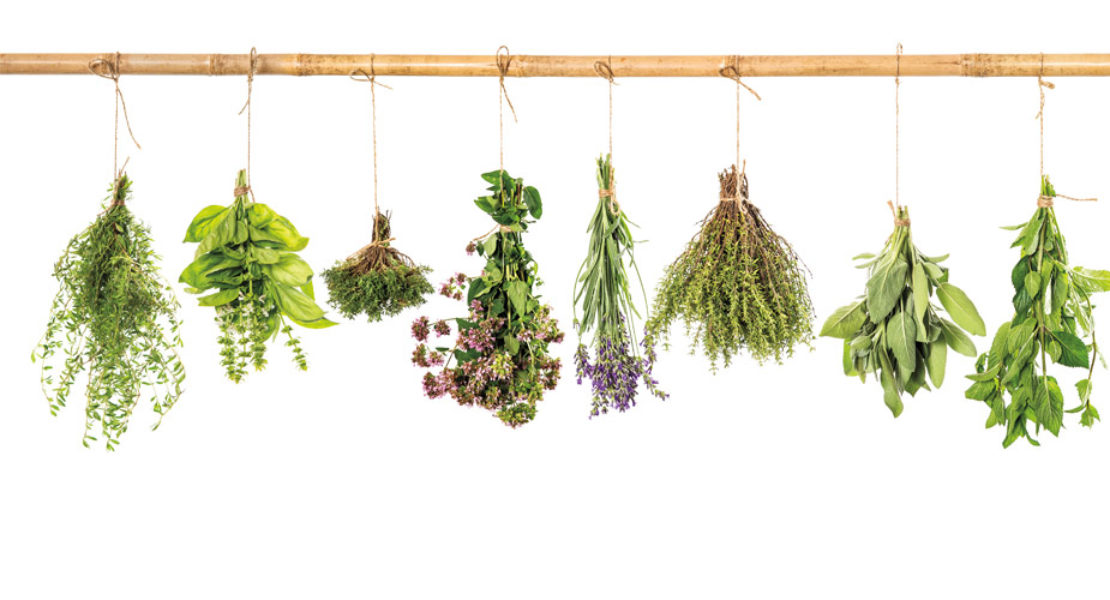 Farmacy | Inhaling Botanical Herbs