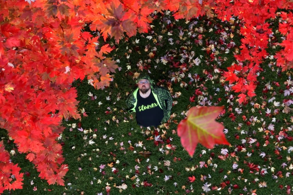 Aerial view of a man in a green jacket surrounded by vibrant red autumn leaves on a grassy lawn